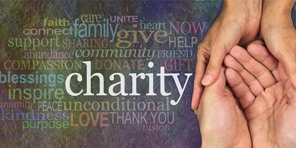 Image QLS CHARITABLE Blue Star Consulting is a Managing Producer of the Qualified Leverage Strategy (QLS) platform.